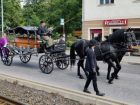 Pohřební kočár - Vratislavice nad Nisou